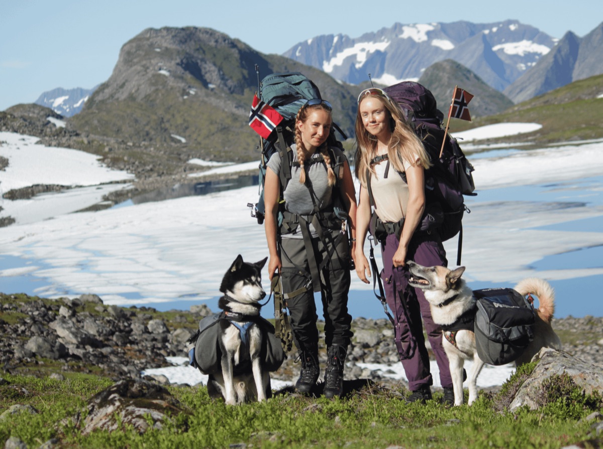 ノルウェイ森林ドッグと人間の関係