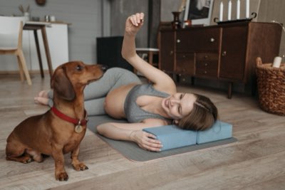 Riscos genéticos em Dachshunds: 2,5 vezes mais risco cardíaco