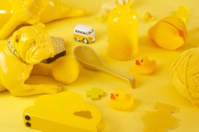 단순 산책 넘어선 운동, 강아지 맞춤형 활동 프로필을 점검하세요