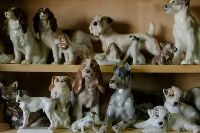 Chiens origine et race : guide sur les variations de taille