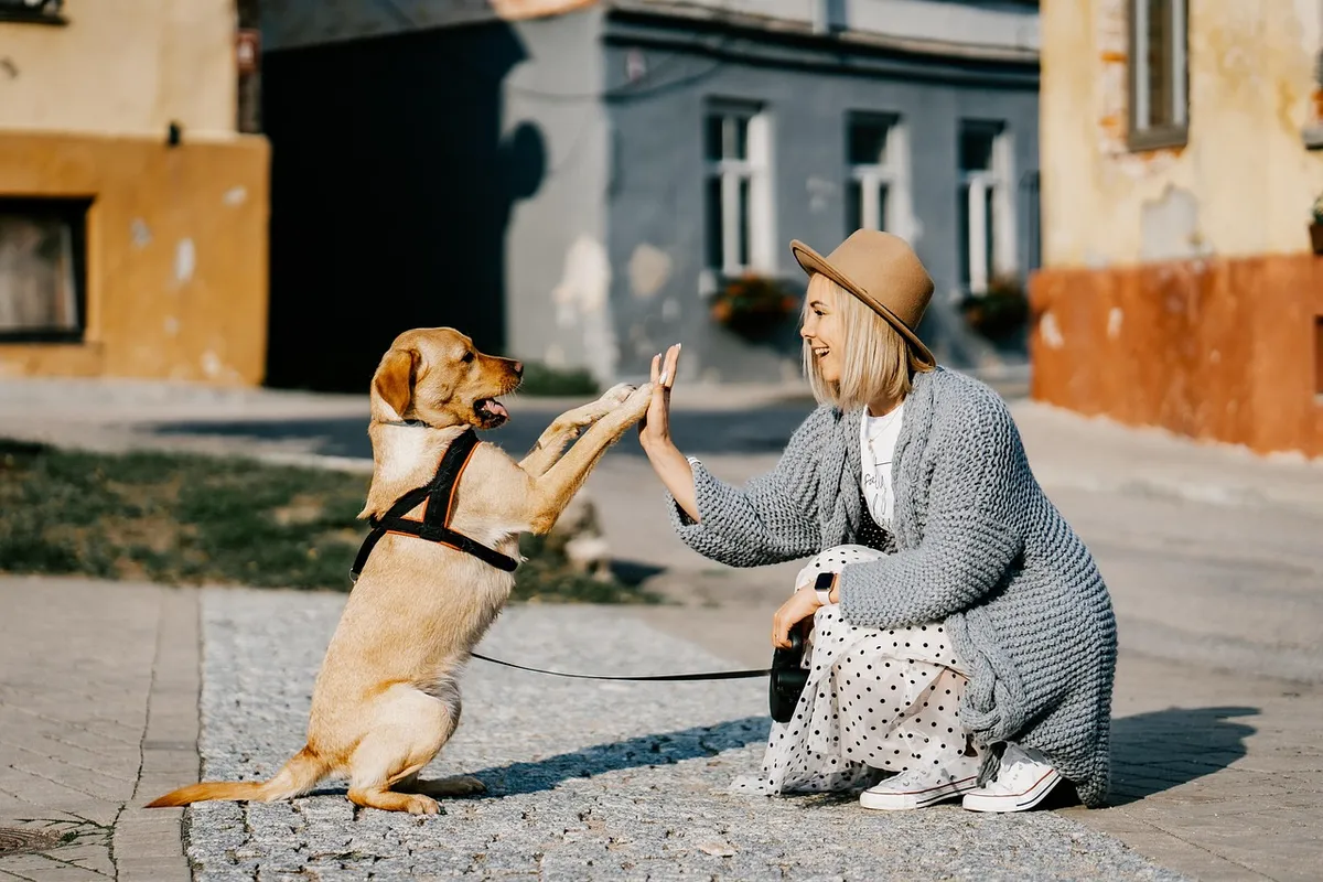 girl, dog, pet, friendship, companion, nature, owner, caucasian, blonde, caucasian female, blonde female, canine, domestic dog, doggy, happy, animal, love, woma