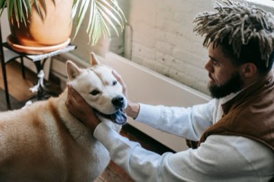 Pet Insurance Guide: Why Modern Owners Spend More