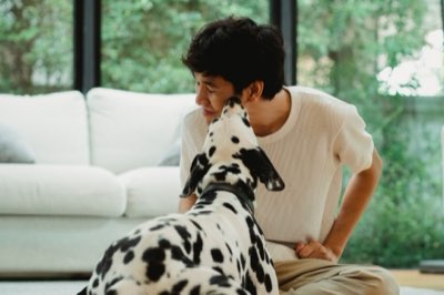 寵物保險市場成長指南：解析飼主轉變與風險管理